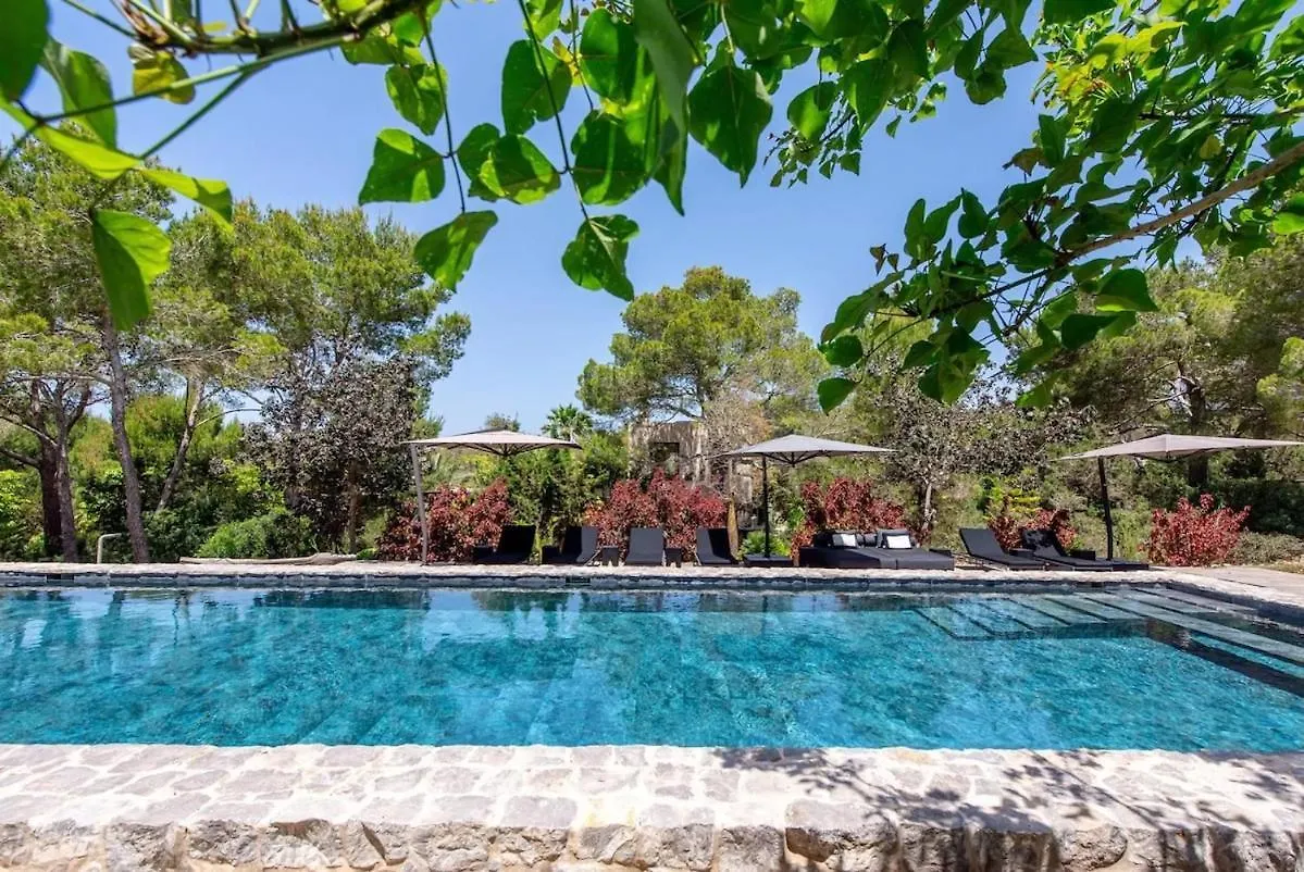 Can Serenico Ibiza 0*, San José 西班牙
